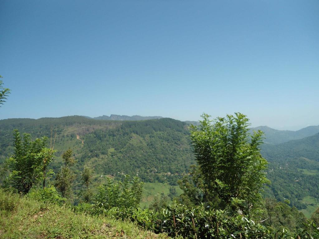 Mount River View Kandy Ngoại thất bức ảnh