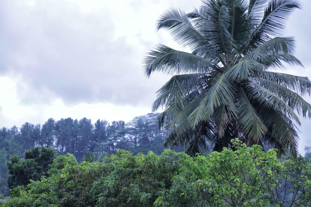 Mount River View Kandy Ngoại thất bức ảnh